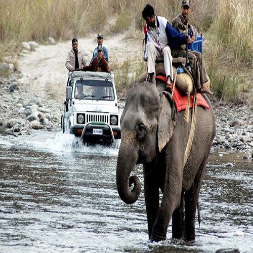 Jim Corbett Elephant 1