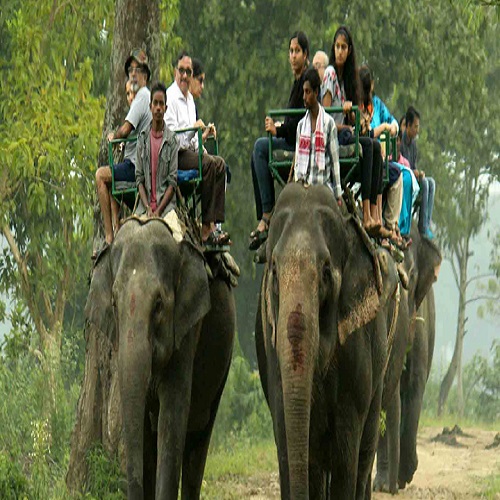 elephant safari jim corbett 1